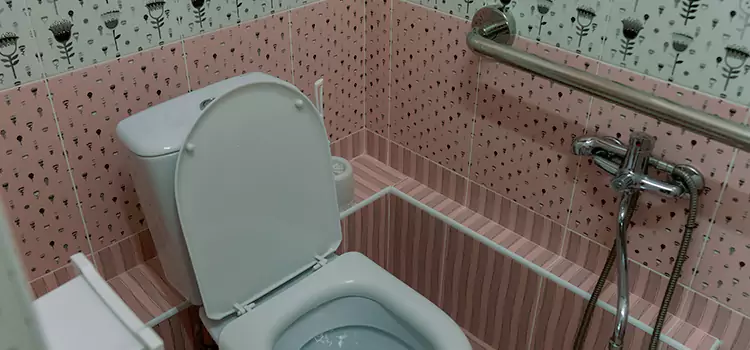 Meeting Diverse Needs With Accessible Restroom Solutions in Burton, MI